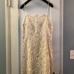 Ann Taylor Ivory and Black Lace Sheath Dress